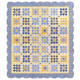 Sunshine Garden Kit
