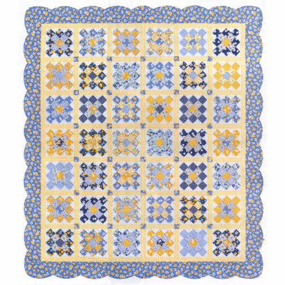 Sunshine Garden Kit