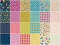 Whimsy Single Scoops