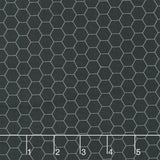 Sunny Honey - Honeycomb Black Yardage