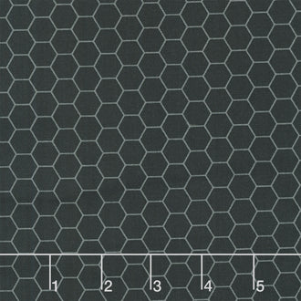 Sunny Honey - Honeycomb Black Yardage