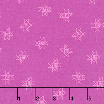 Petals and Stitches - Ohio star Fandango Yardage
