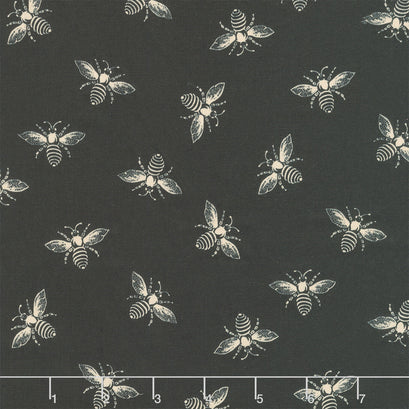 Always and Forever - French Bee Charcoal 108" Wide Backing
