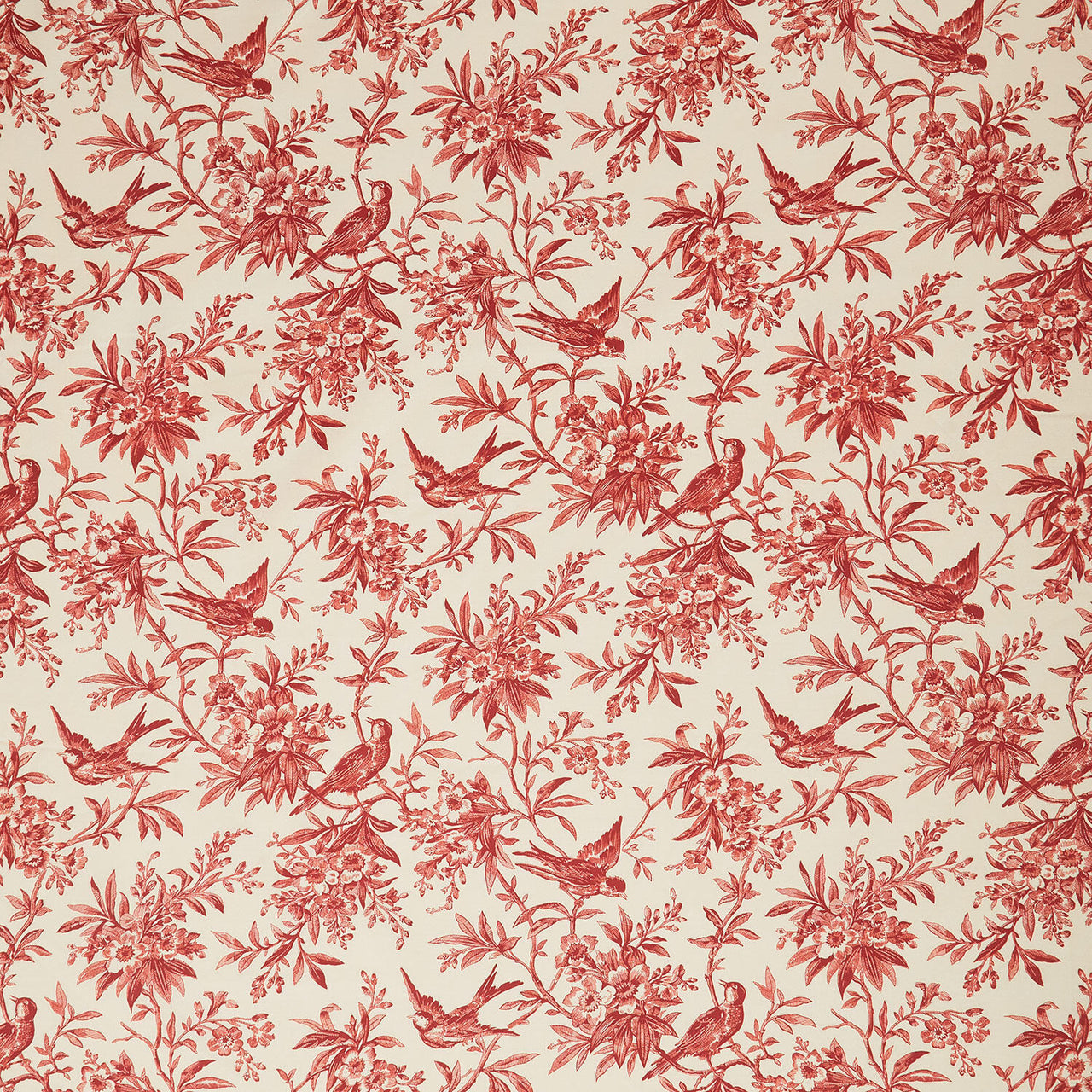 Jo Morton 108s - Toile Cream Red 108" Wide Backing