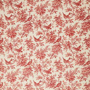 Jo Morton 108s - Toile Cream Red 108" Wide Backing