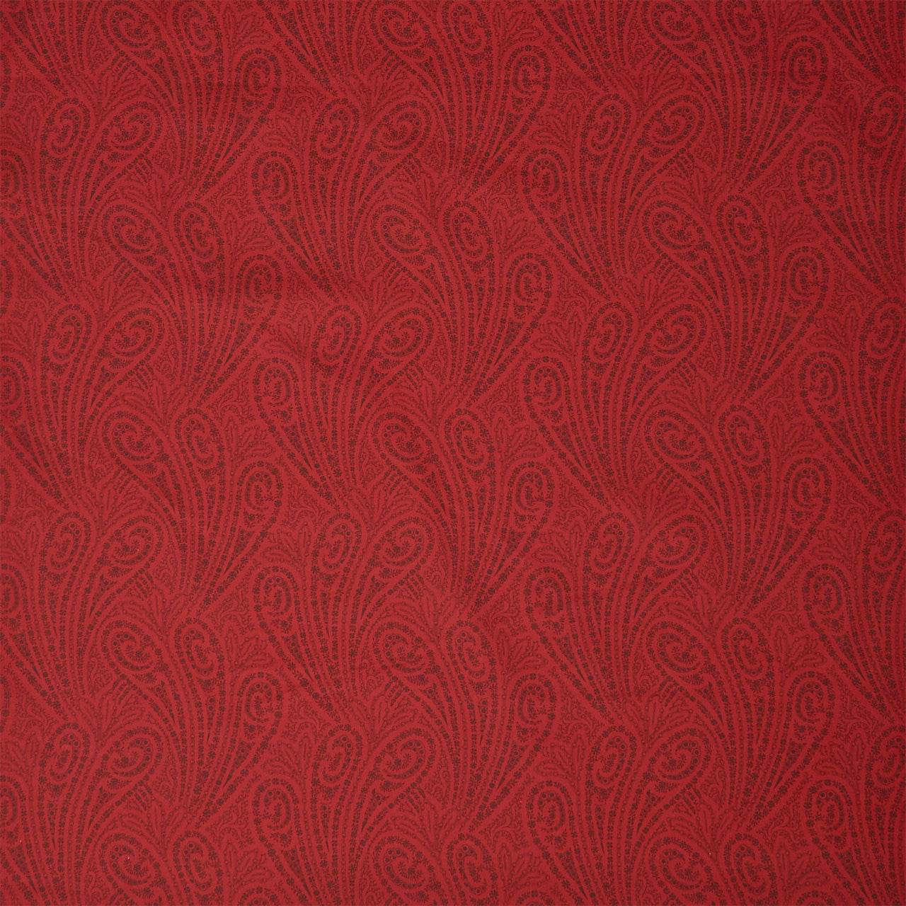 Jo Morton 108s - Grand Paisley Red 108" Wide Backing