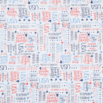 Oh Say Can You Sew - Land That I Love White Yardage