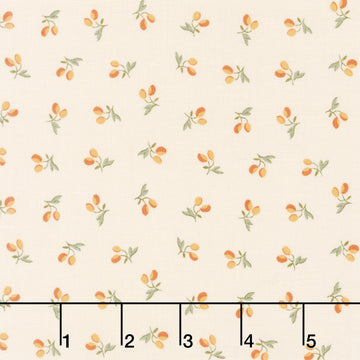 Laundry Line - Peachy Cream Yardage