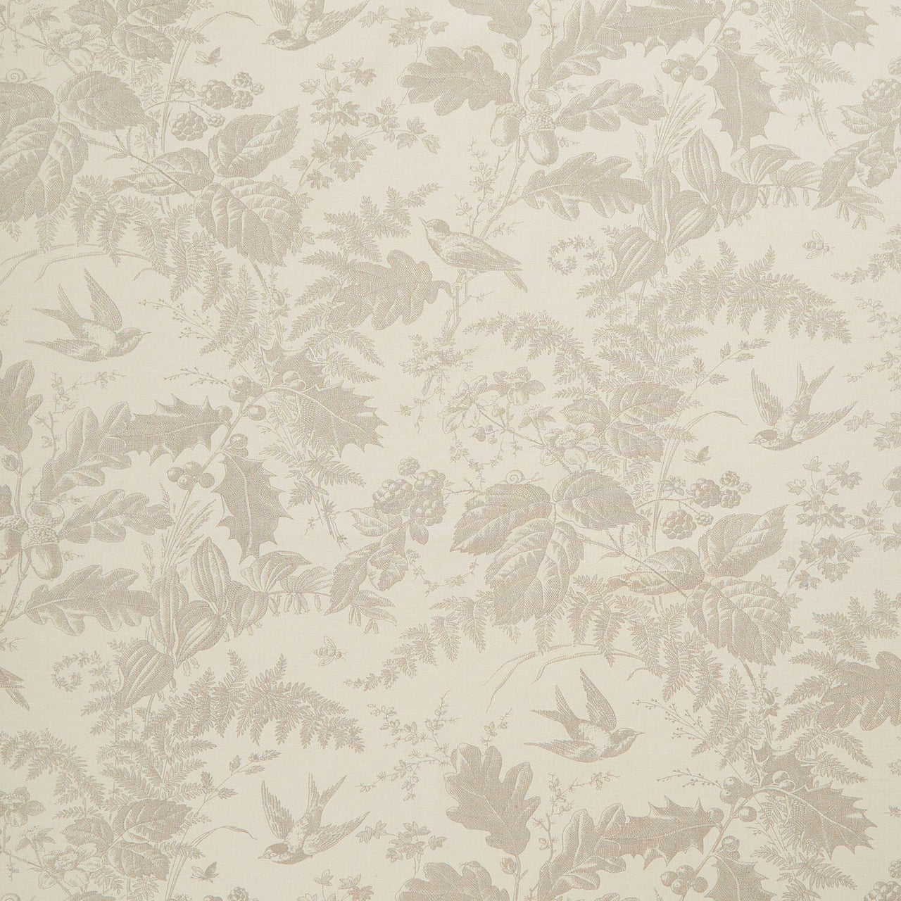 Vermont - Daisy Limestone 108" Wide Backing Yardage