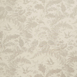 Vermont - Daisy Limestone 108" Wide Backing Yardage
