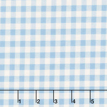 Special Delivery - Gingham Chambray Yardage