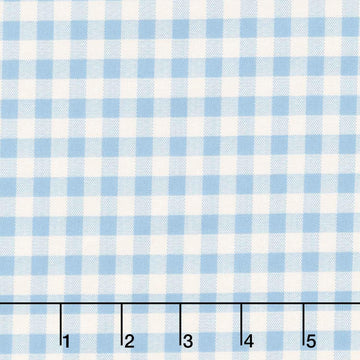 Special Delivery - Gingham Chambray Yardage
