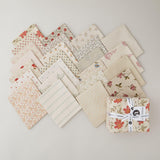 Laundry Line Fat Quarter Bundle