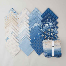 Special Delivery Fat Quarter Bundle