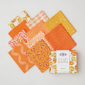 Color Master No. 20 Tangerine Summer Edition Favorites - Fat Quarter Bundle 10 Pc