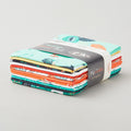 Flight Path - FQ Fabric Wonders Favorites - Fat Quarter Bundle 12 Pc