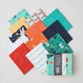 Flight Path - FQ Fabric Wonders Favorites - Fat Quarter Bundle 12 Pc