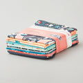 Onward + Upward - FQ Fabric Wonders Favorites - Fat Quarter Bundle 12 Pc