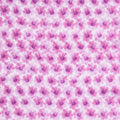 Potpourri - Potpourri Blossoms Pink 2 Yard Cut
