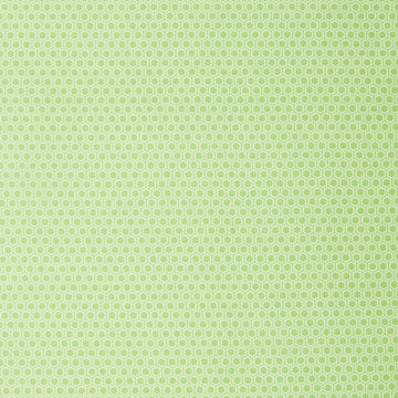 Color Up - Hexy Dark Lime 2 Yard Cut