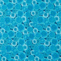 Sunshine Cats - Happy Flowers Dark Turquoise 2 Yard Cut