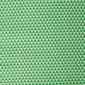 2025 LTD - Diamond Green Tea 2 Yard Cut