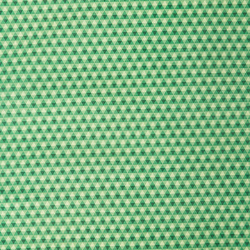 2025 LTD - Diamond Green Tea 2 Yard Cut