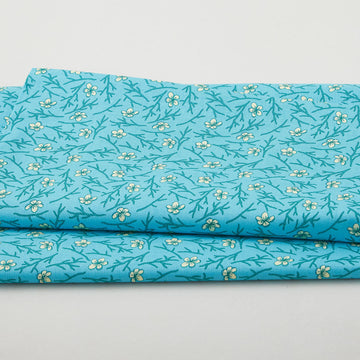 2025 LTD - Blossom Sky 2 Yard Cut