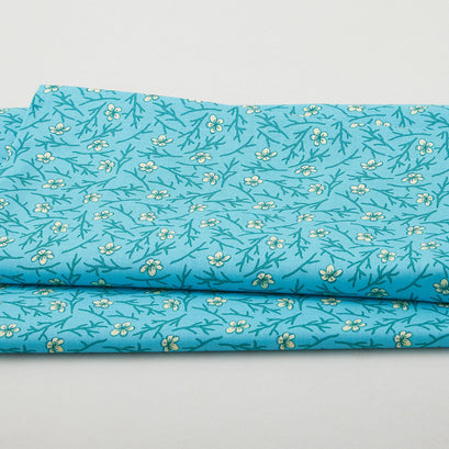 2025 LTD - Blossom Sky 2 Yard Cut