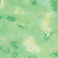 Fossil Fern - Lime Aid 2 Yard Cut