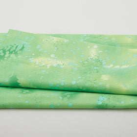 Fossil Fern - Lime Aid 2 Yard Cut