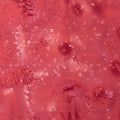 Fossil Fern - Red Rouge 2 Yard Cut