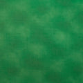 Shadow Blush - Kelly Green 2 Yard Cut