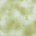 New Hue - Light Olive 2 Yard Cut