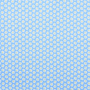 Chalk Garden - Mini Daisy Blue 2 Yard Cut