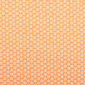 Chalk Garden - Mini Daisy Orange 2 Yard Cut