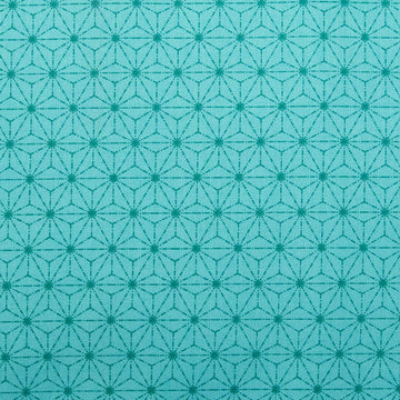 Snow Fall - Stitches Turquoise 2 Yard Cut