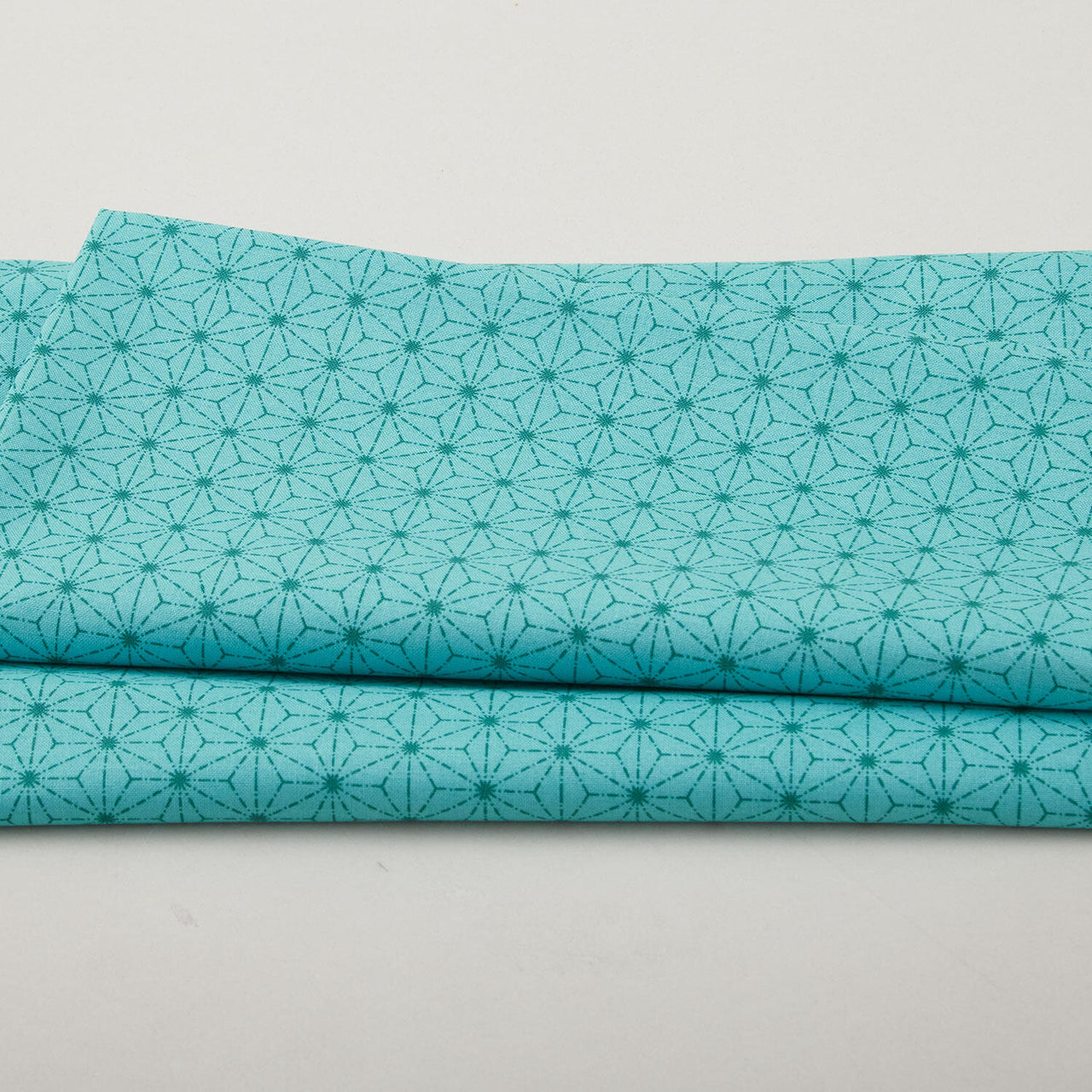 Snow Fall - Stitches Turquoise 2 Yard Cut