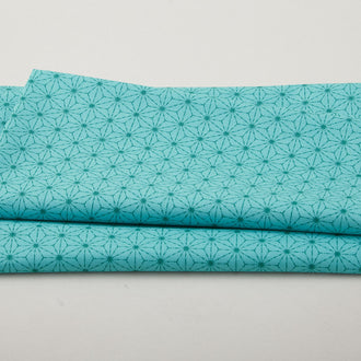 Snow Fall - Stitches Turquoise 2 Yard Cut