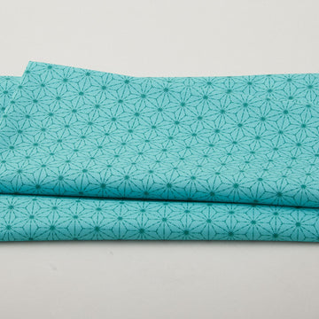 Snow Fall - Stitches Turquoise 2 Yard Cut