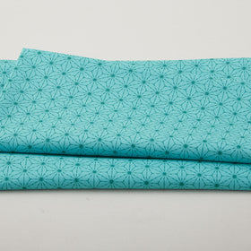 Snow Fall - Stitches Turquoise 2 Yard Cut