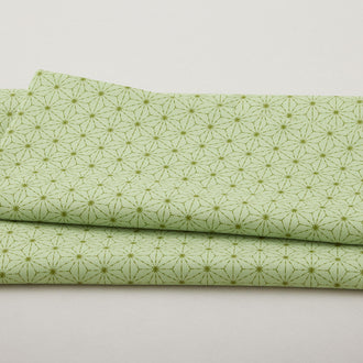 Snow Fall - Stitches Pear 2 Yard Cut