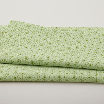 Snow Fall - Stitches Pear 2 Yard Cut
