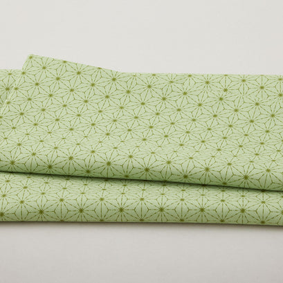 Snow Fall - Stitches Pear 2 Yard Cut