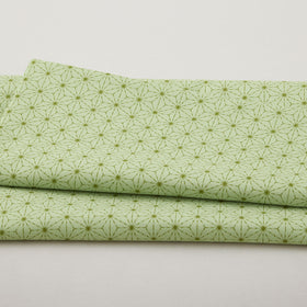 Snow Fall - Stitches Pear 2 Yard Cut