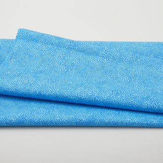Gratitude and Grace - Sunshine Blue 2 Yard Cut