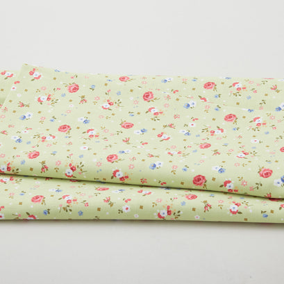 Bandana Medley - Gail Lime 2 Yard Cut