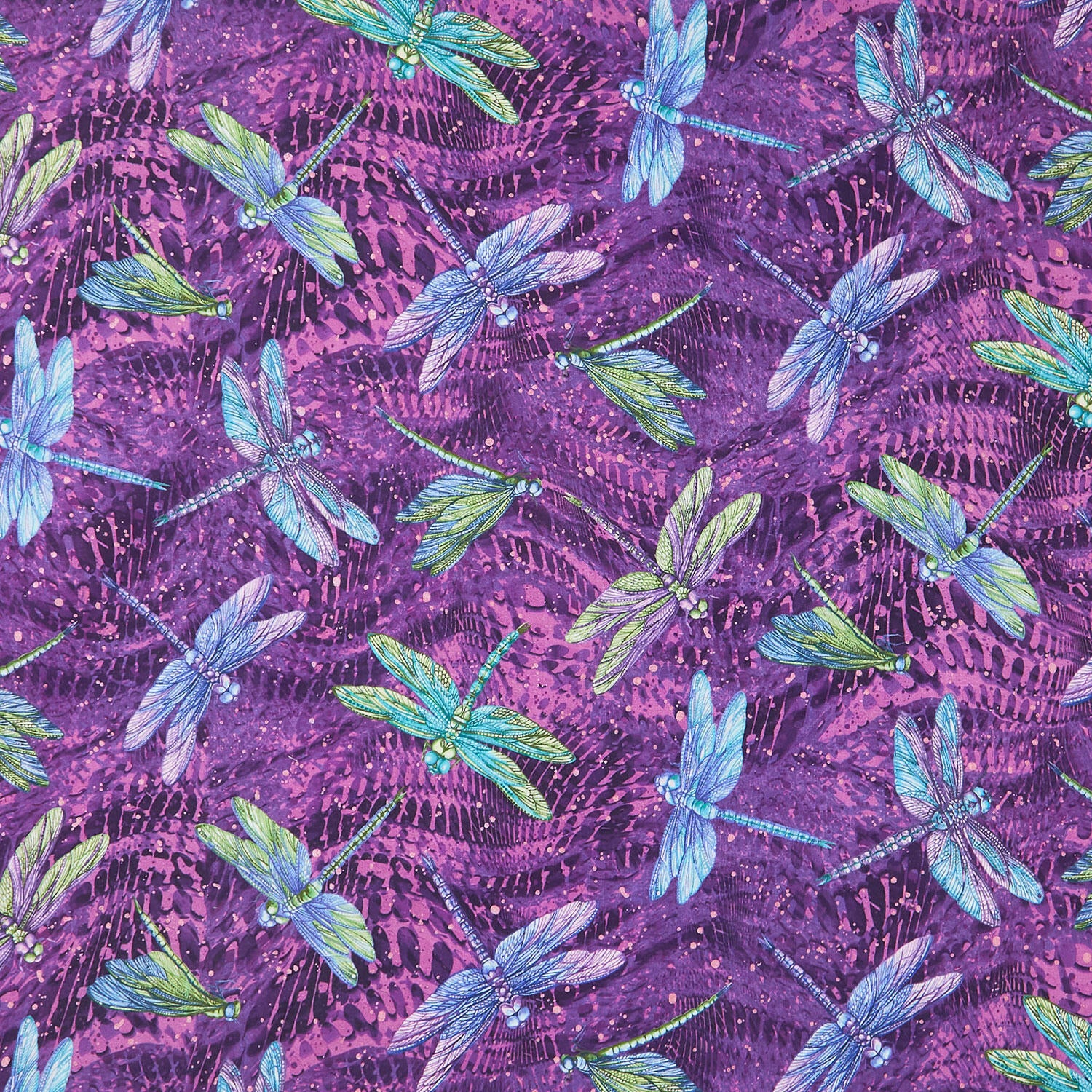 ギター dragonfly BORDER 666 llic Purple ギター dragonfly BORDER