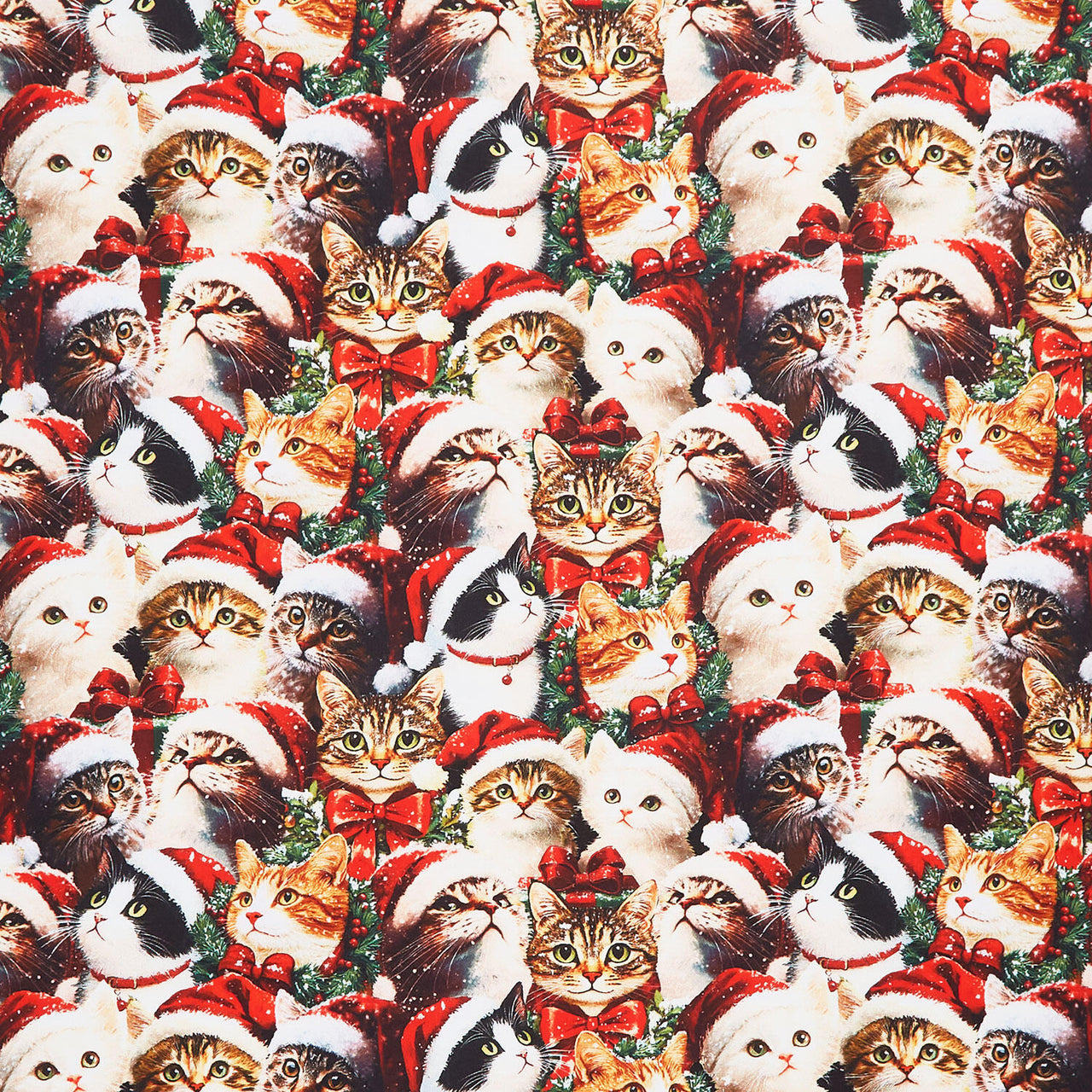 Merry Cats - Merry Cats Portraits Multi Yardage
