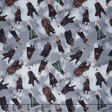 Harry Potter - Characters Gray Yardage